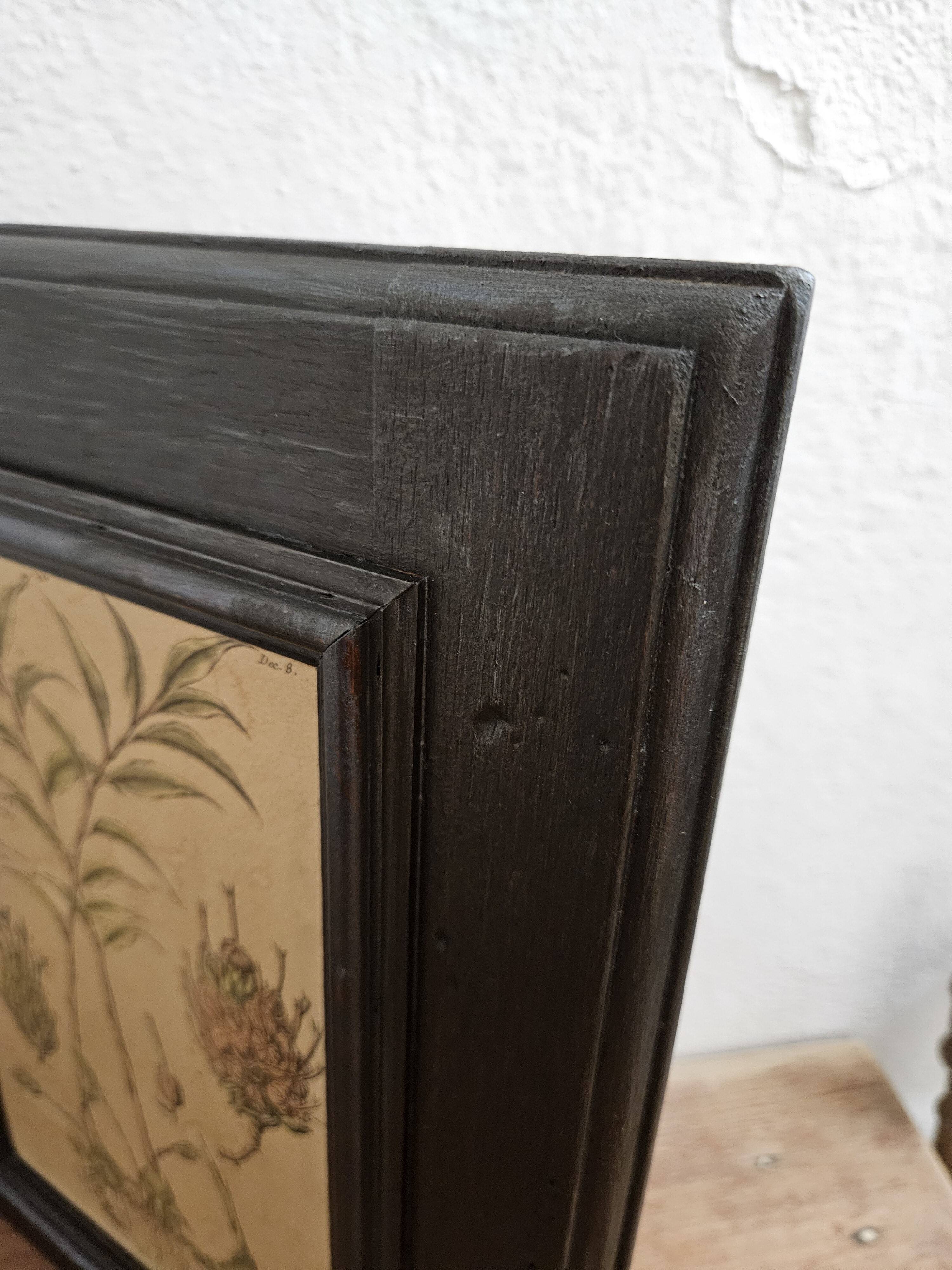 Framed Botanical Board Table