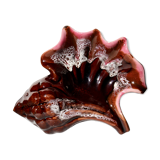 Shell pocket empty