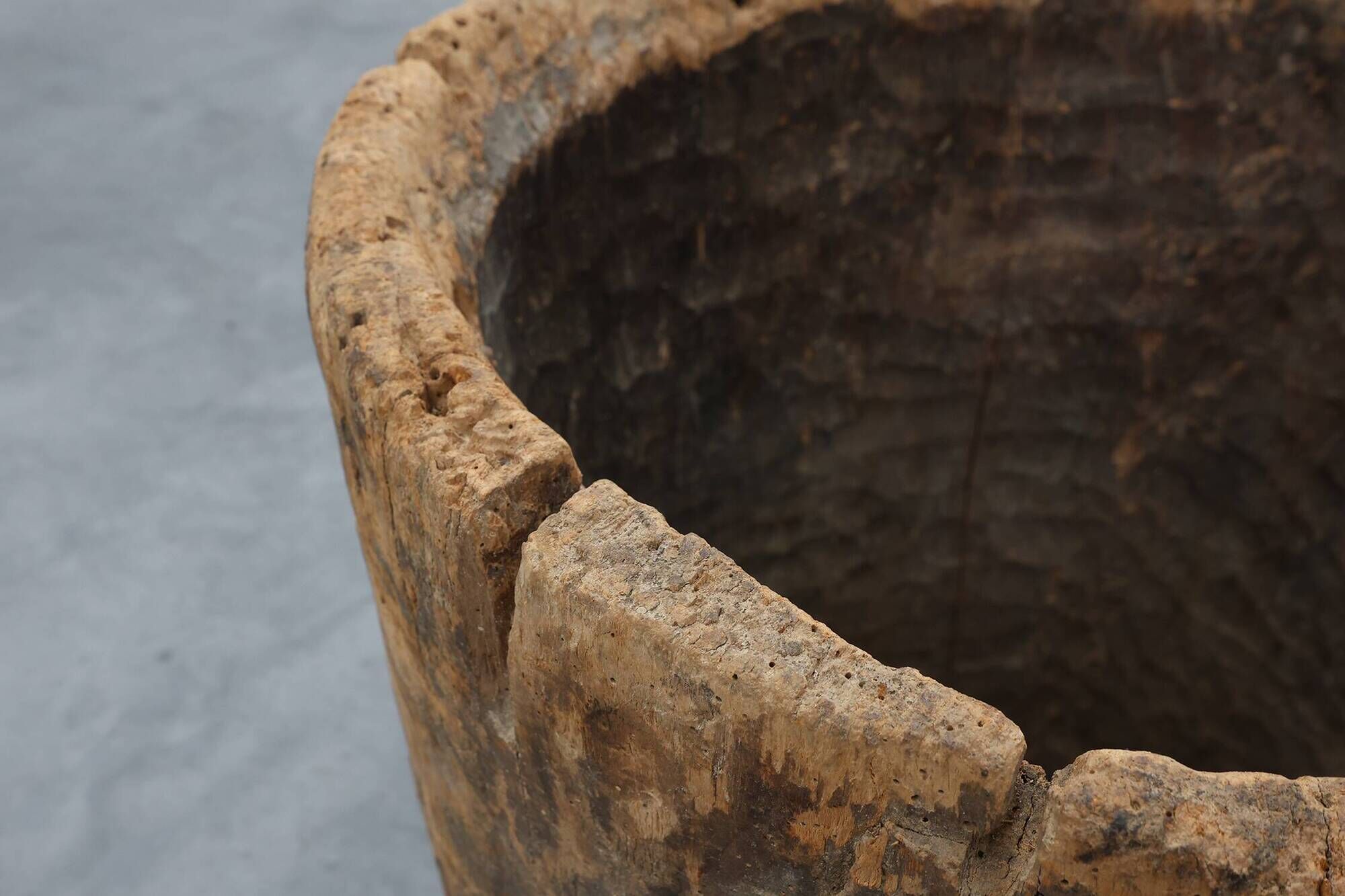 19th Century French Primitive Hollowed Oak Tree Trunk Planter