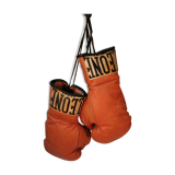 Vintage Leone Anniversary Leather Boxing Gloves 1947