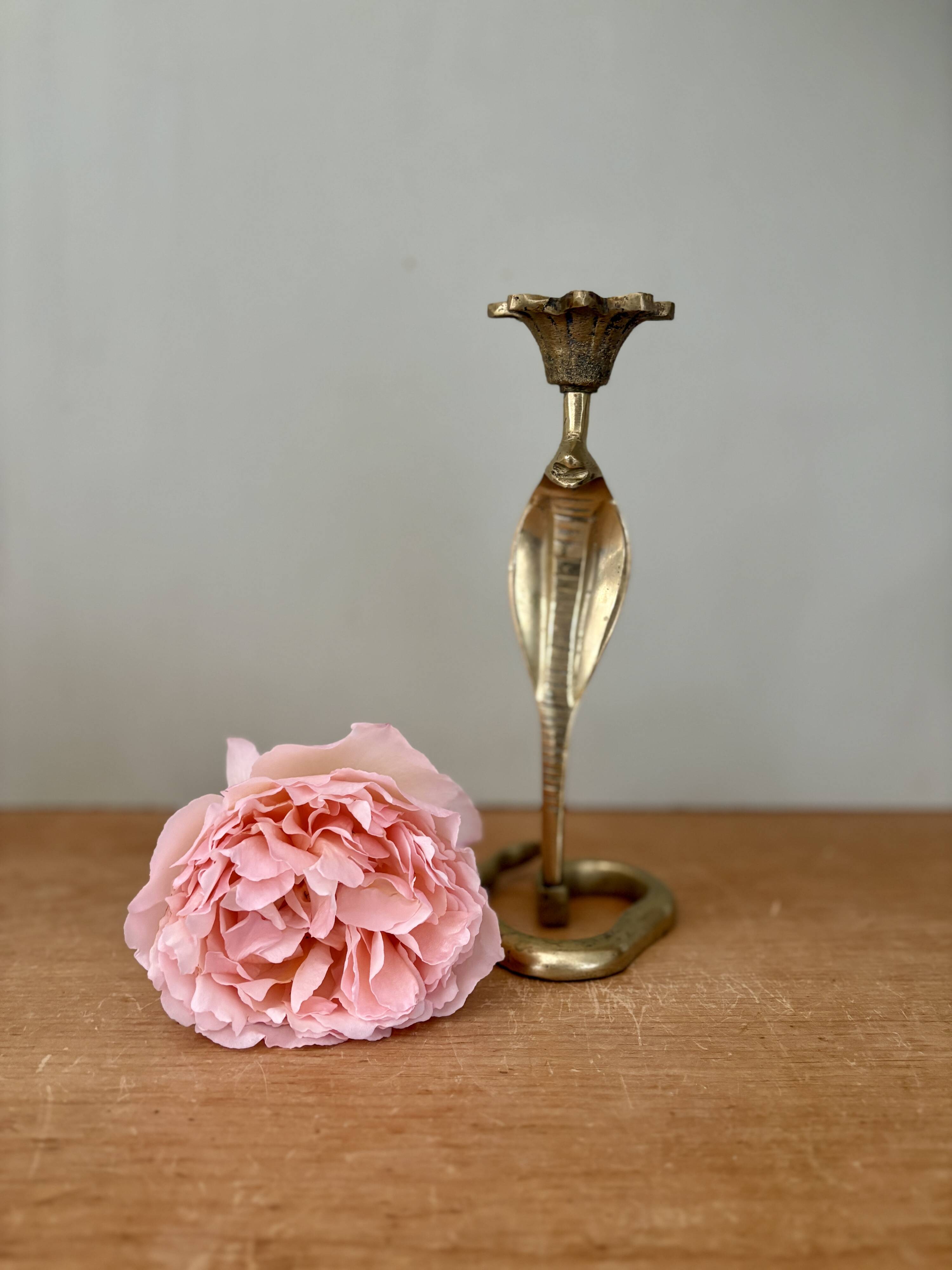 Vintage brass cobra candle holder