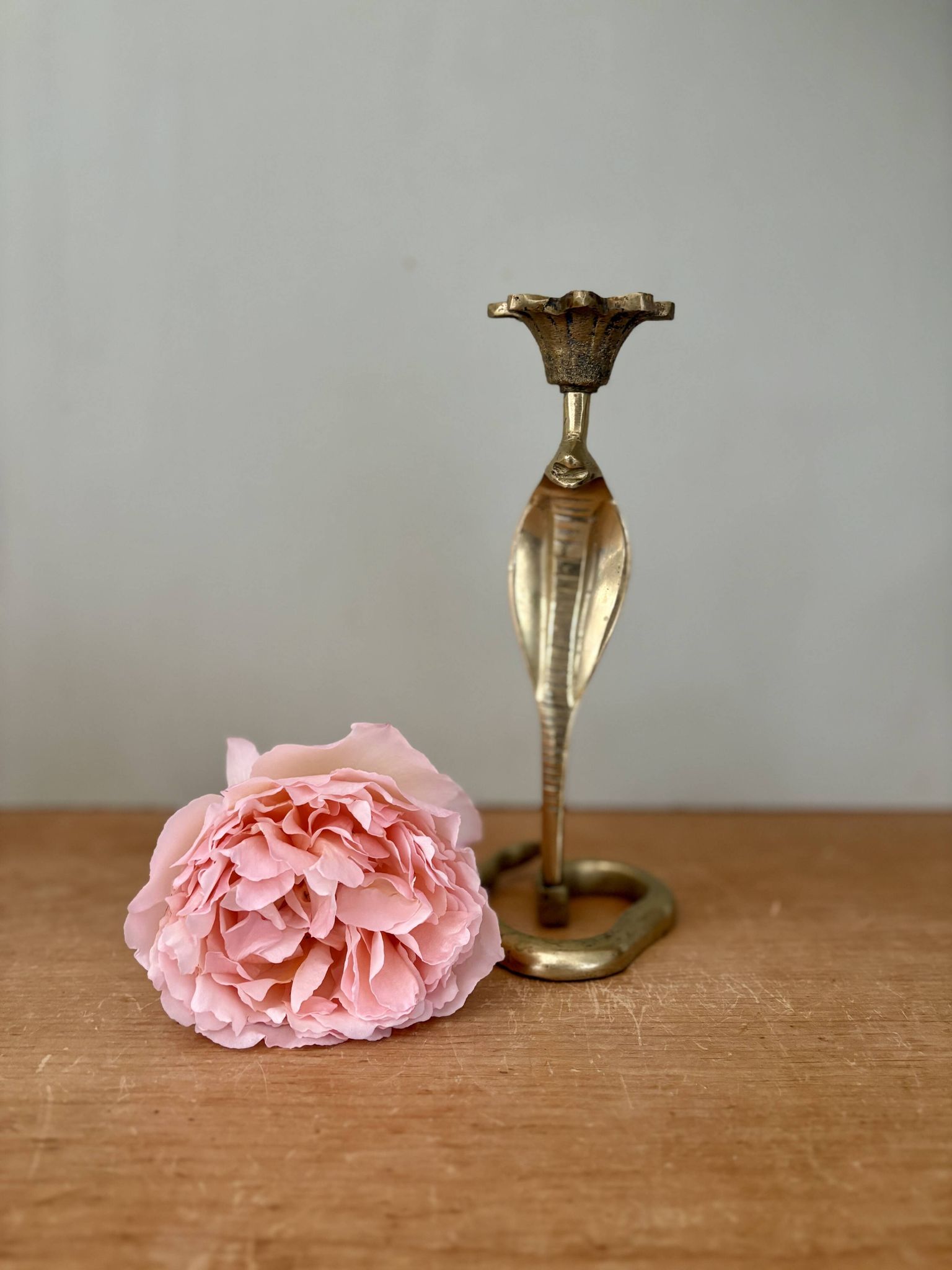 Vintage brass cobra candle holder