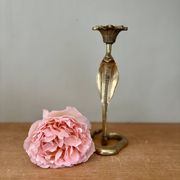 Vintage brass cobra candle holder
