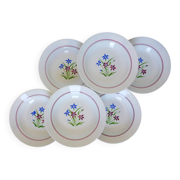 6 assiettes creuses des Salins modèle Lily