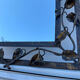 Wrought iron mirror with ivy Art Deco