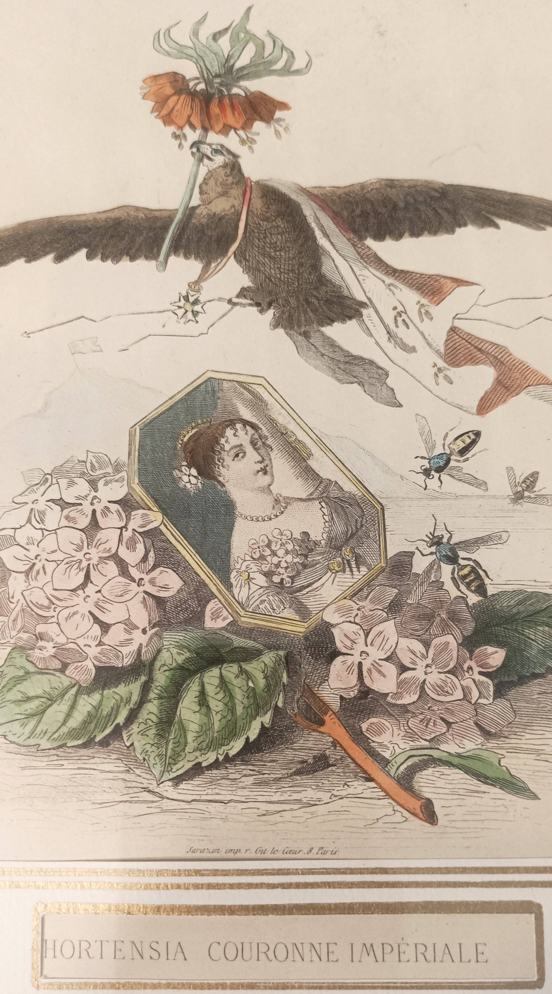 JJ Grandville Animated Flower Frame - Imperial Crown Hydrangea