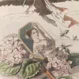 JJ Grandville Animated Flower Frame - Imperial Crown Hydrangea