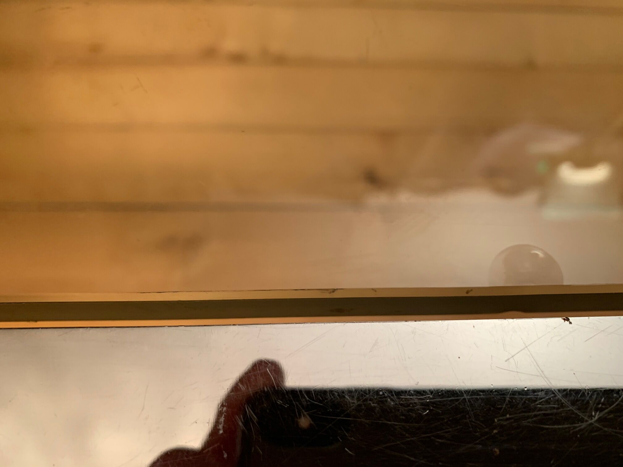 Coffee table, Italy, 1960s