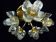 Brass ceiling light with iced glass flowers attributed to Mazzega, 1960s