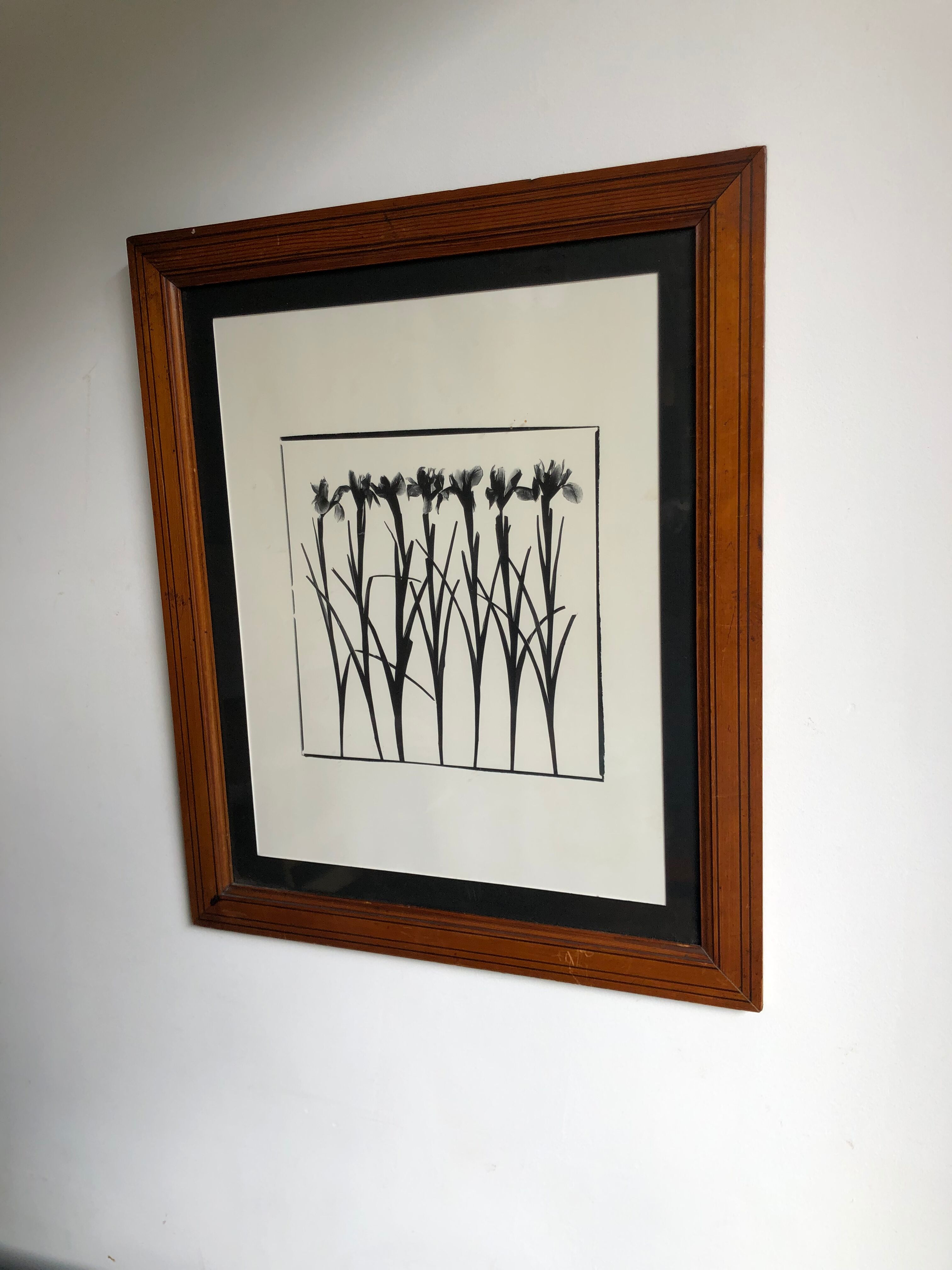 Flowers framed printing
