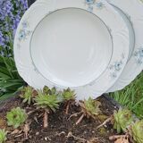 Plats porcelaine bavaria
