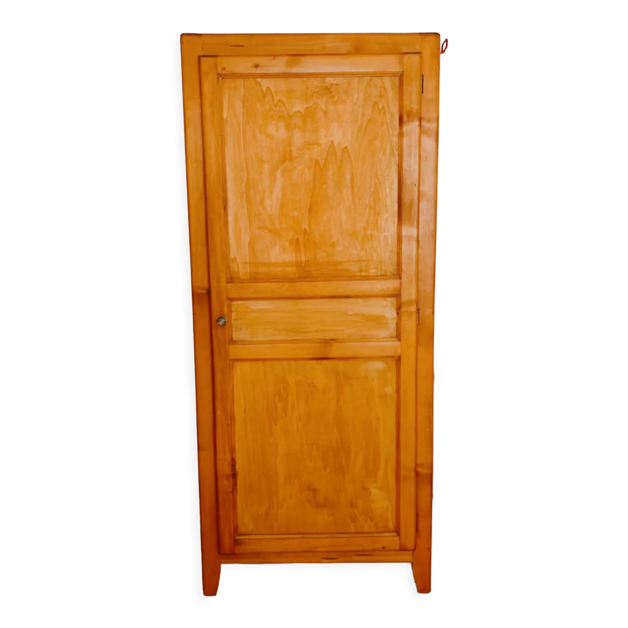 Boarding cabinet a vintage door