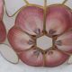 Pair of vintage pendant lamps in brass mother-of-pearl and shells