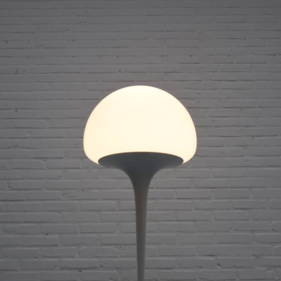 Floor Lamp by Goffredo Reggiani for Reggiani