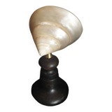 Cabinet of Curiosities trochus niloticus shell with a mother-of-pearl finish on a base.
