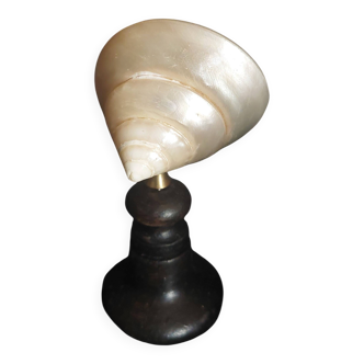 Cabinet of Curiosities trochus niloticus shell with a mother-of-pearl finish on a base.