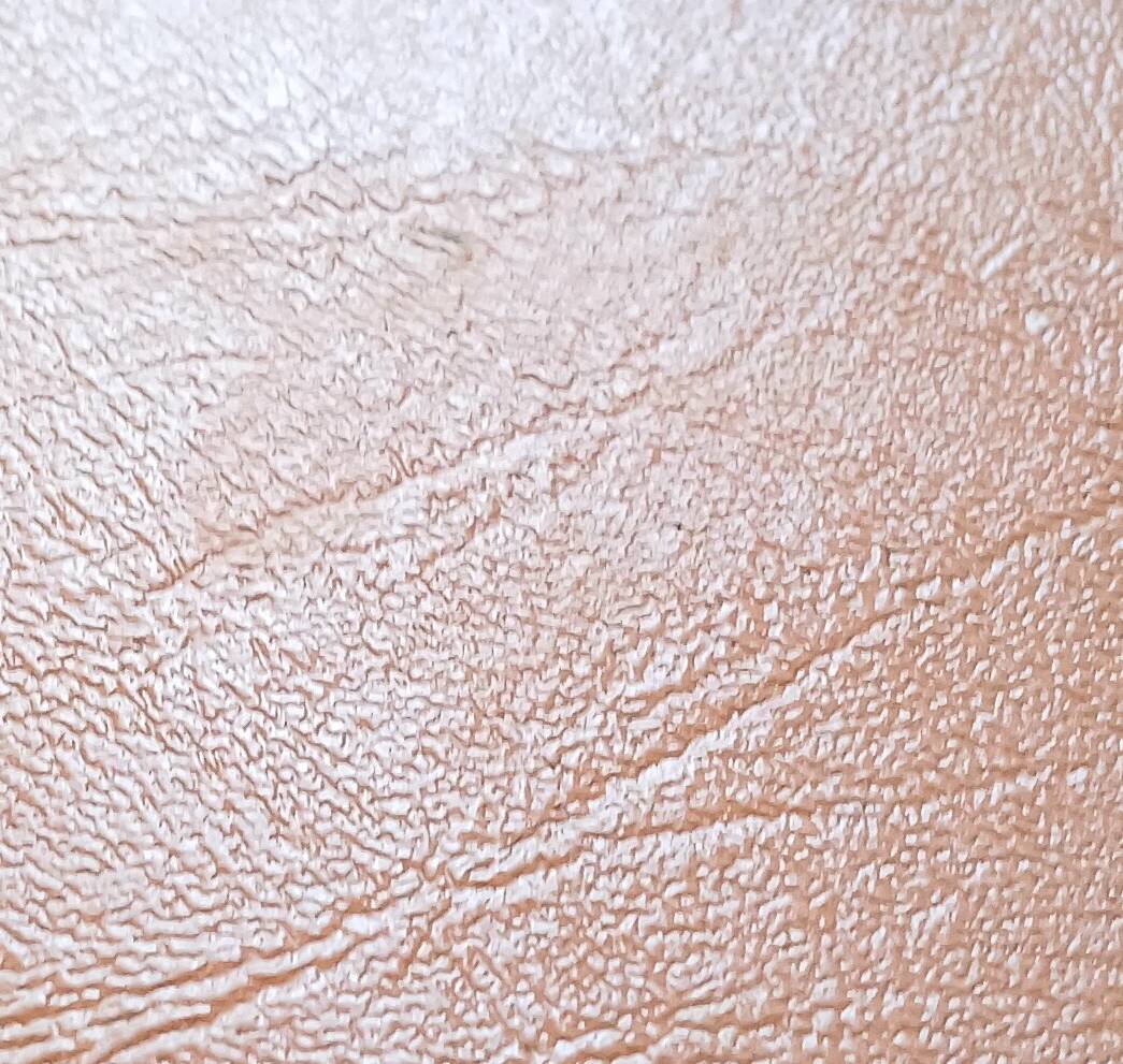 Steiner tripod coffee table "bow wood" 1950