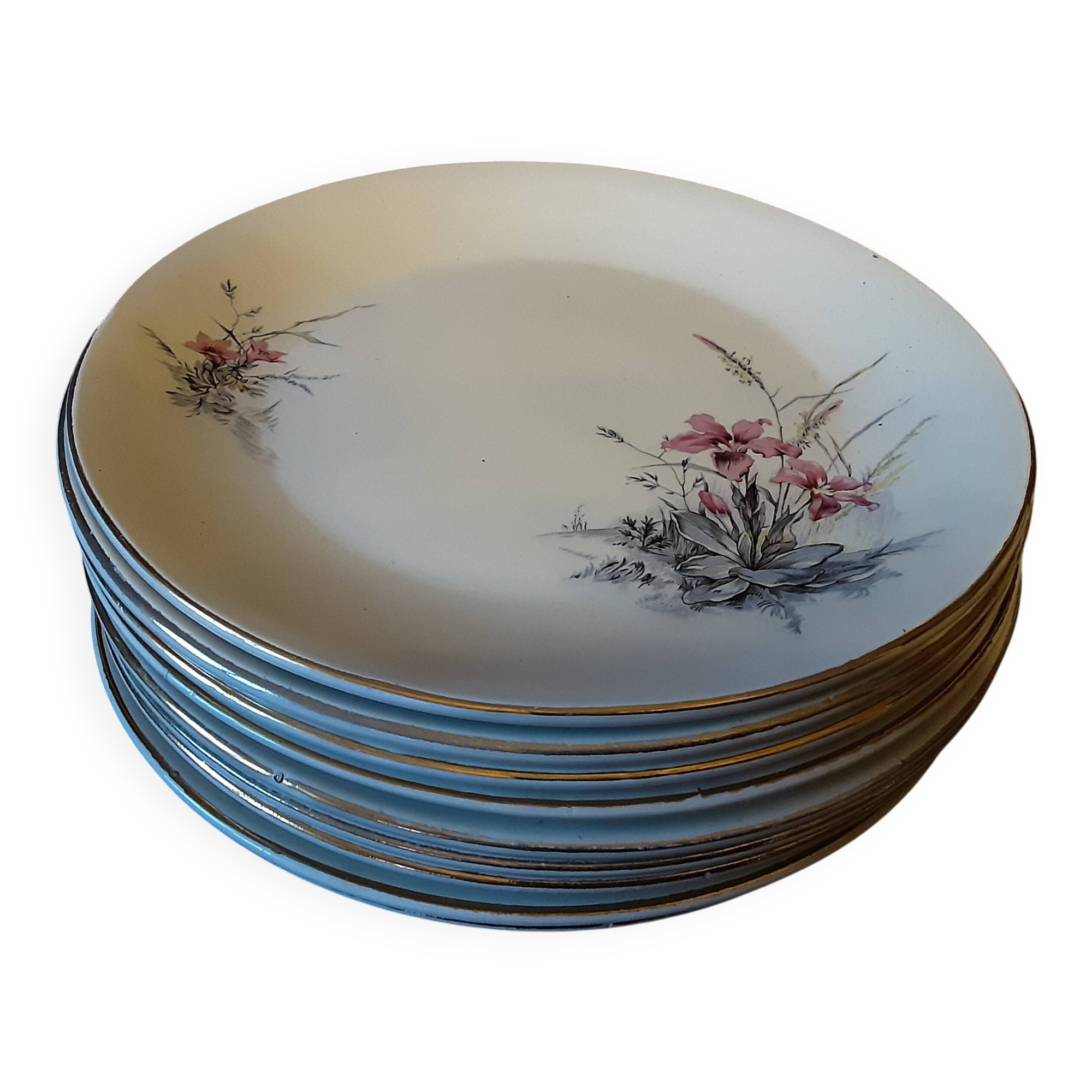 Set of 9 Digoin Sarreguemines dinner plates