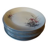 Set of 9 Digoin Sarreguemines dinner plates