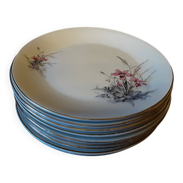 Lot de 9 assiettes  plates  Digoin sarreguemines