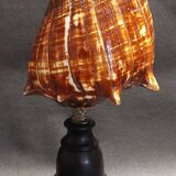 Cabinet of Curiosities shell melongena melongena on a base