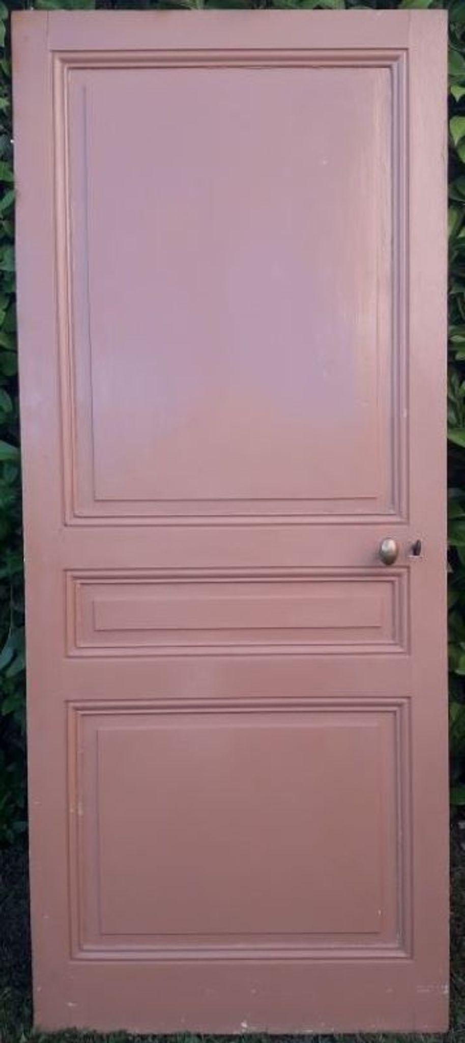 Porte 199x82,8cm ancienne moulurée