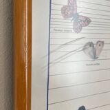 TABLEAU Display BUTTERFLY Italy Vintage