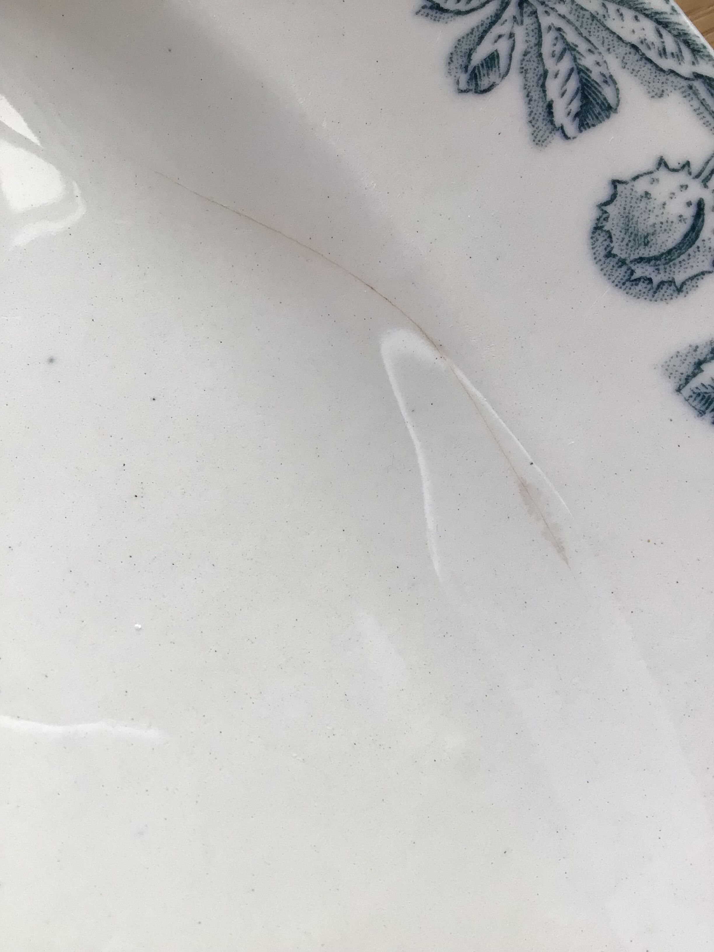 Flat Terre de Fer Salins Savoie blue grayed chestnut