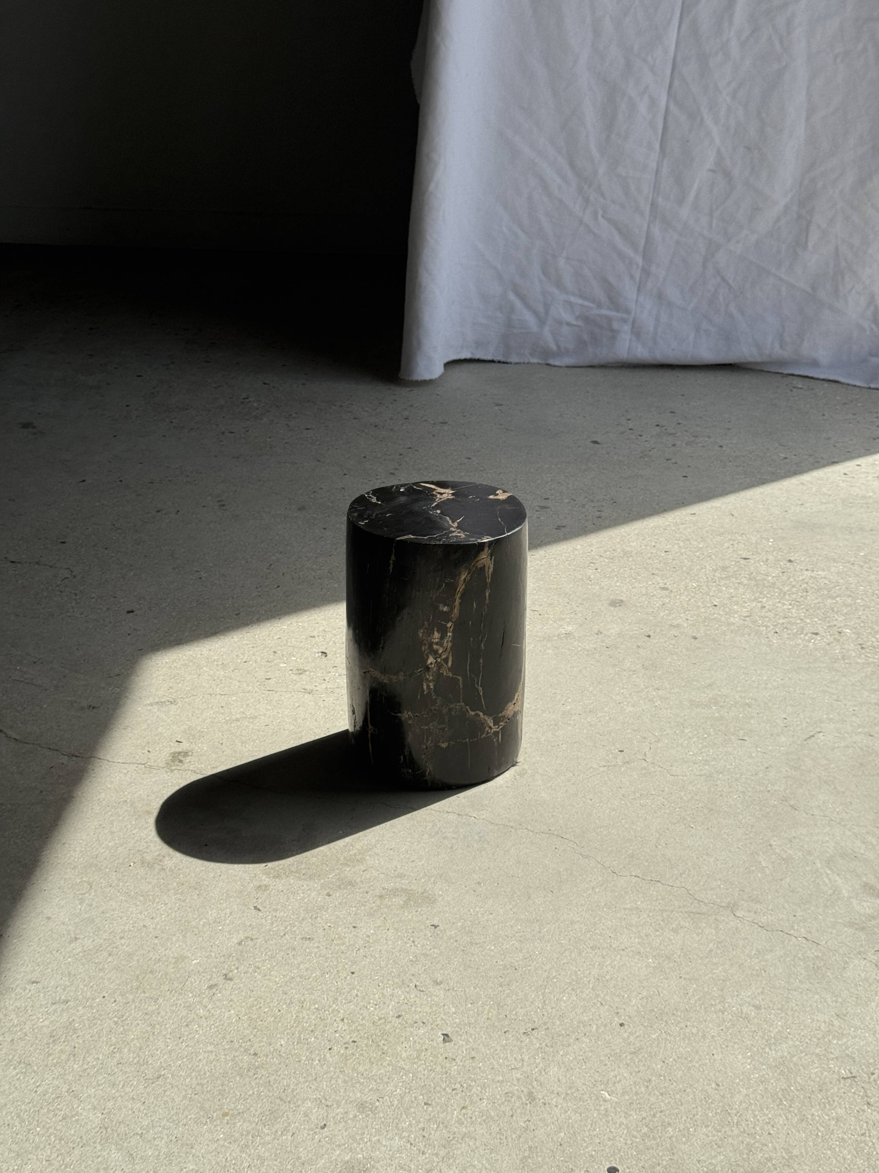 Small side table in black petrified wood with stripes and beige bottom H28.