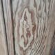 Parisian wardrobe in pitch pine