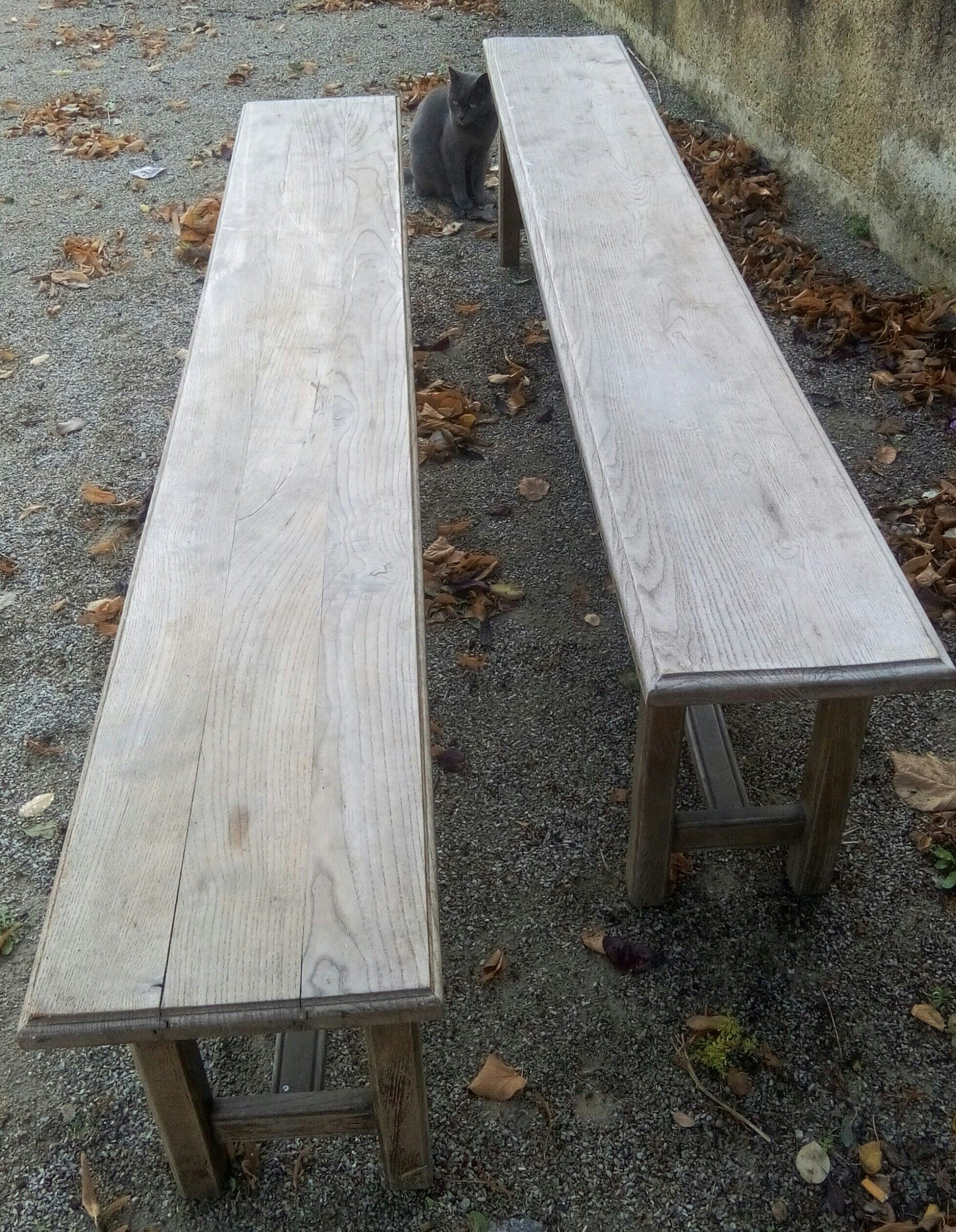 Pair of oak benches