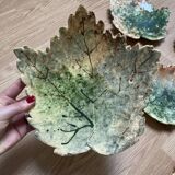 Cabbage plate