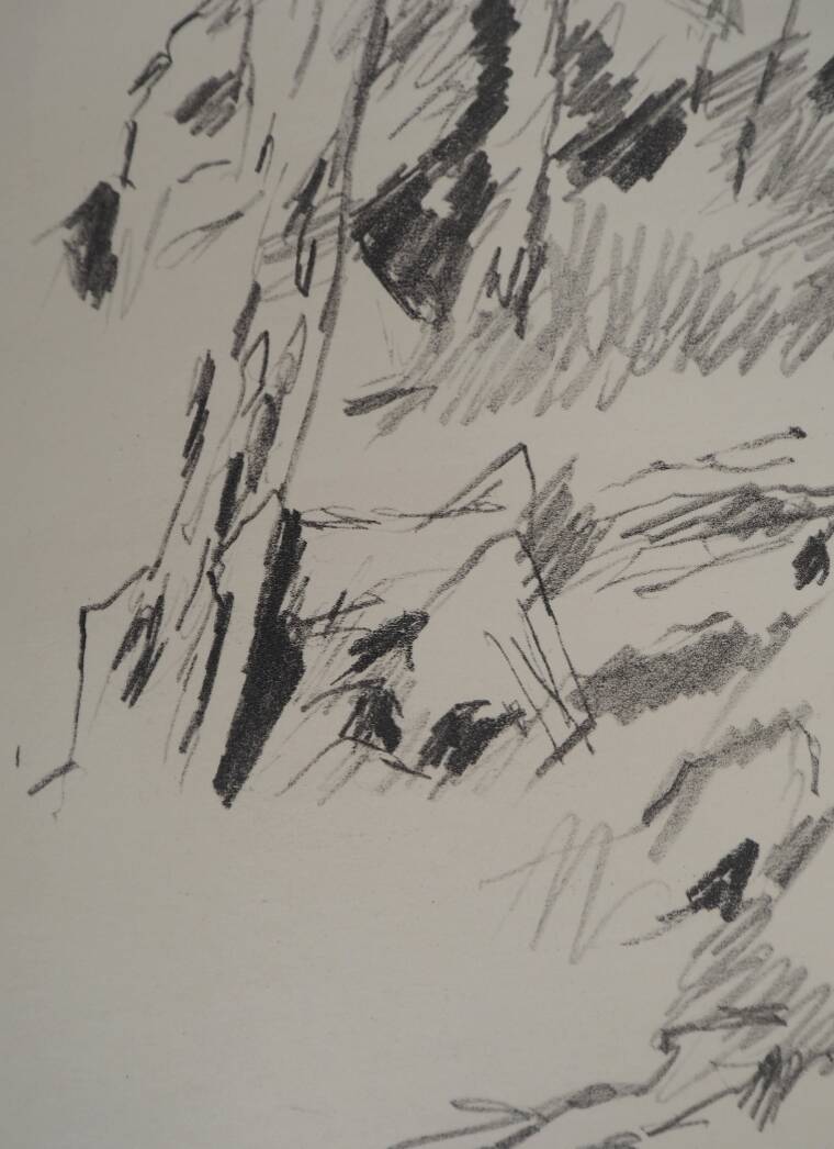 Jean rené bazaine: undergrowth - original signed lithograph