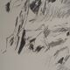 Jean rené bazaine: undergrowth - original signed lithograph