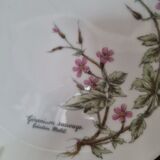 Decorative fine porcelain plate