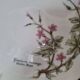Decorative fine porcelain plate