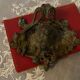 Old ink metal "Art Nouveau"