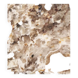 Fortunato designer paris creation office