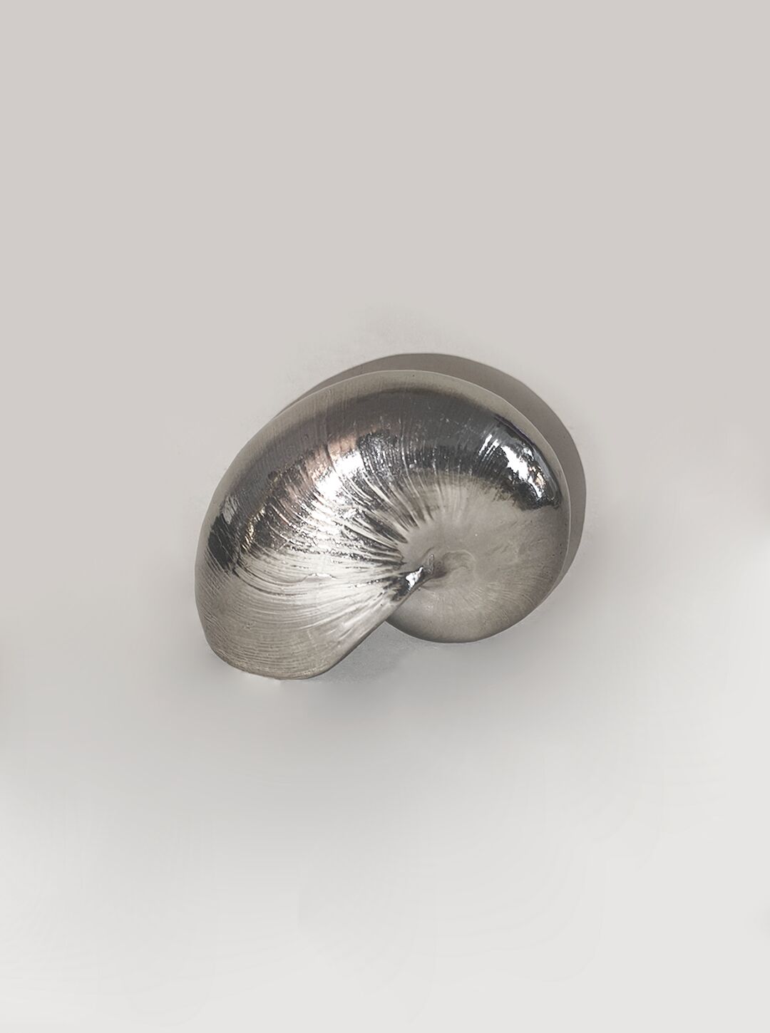 Nautilus Shell Sculpture