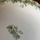 Antique fruit bowl