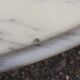 Marble coffee table and gold metal style louis XVI vintage xxeme