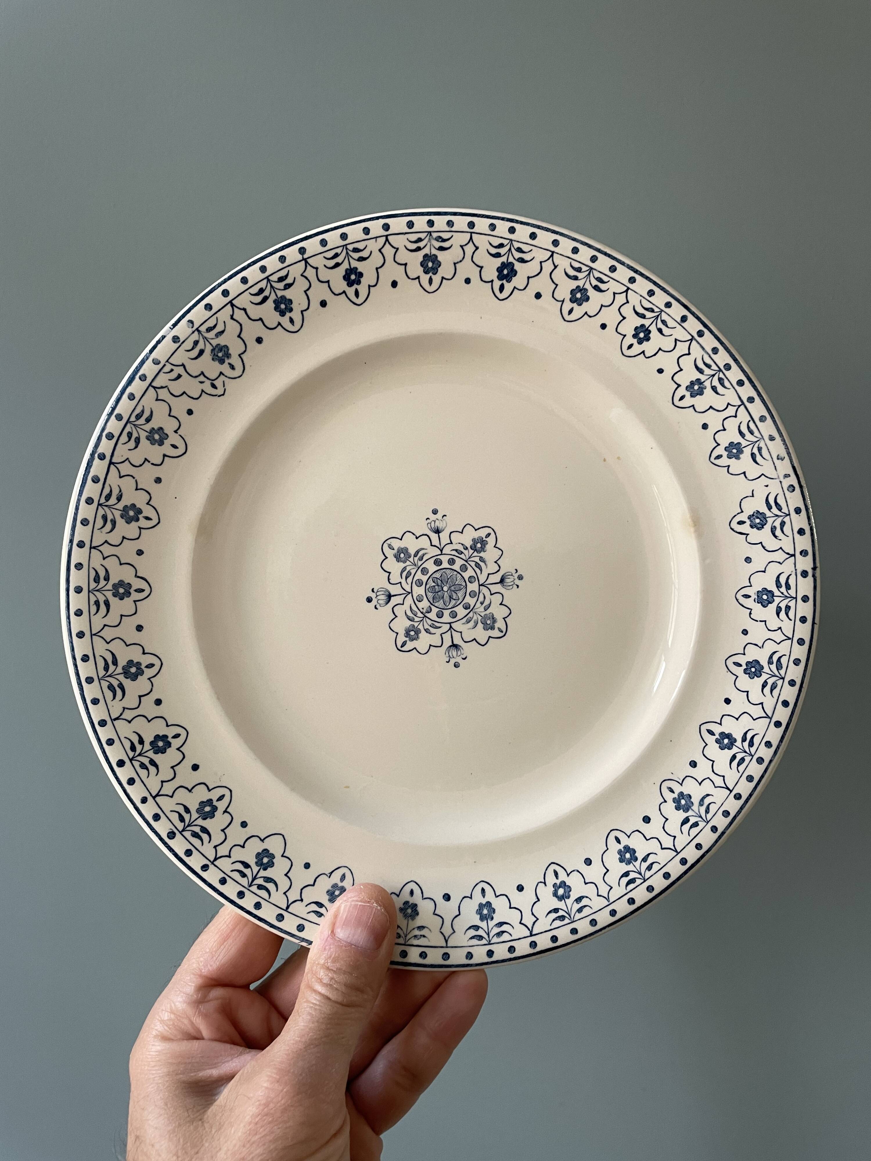 Series of 12 flat plates XIXth earthenware Terre de Fer Clairefontaine