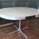 Extension roundtable 1970