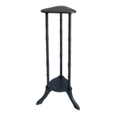 Selette/plant or lamp holder