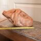 Sculpture Terracotta Statue Abstract Modern Female Nude