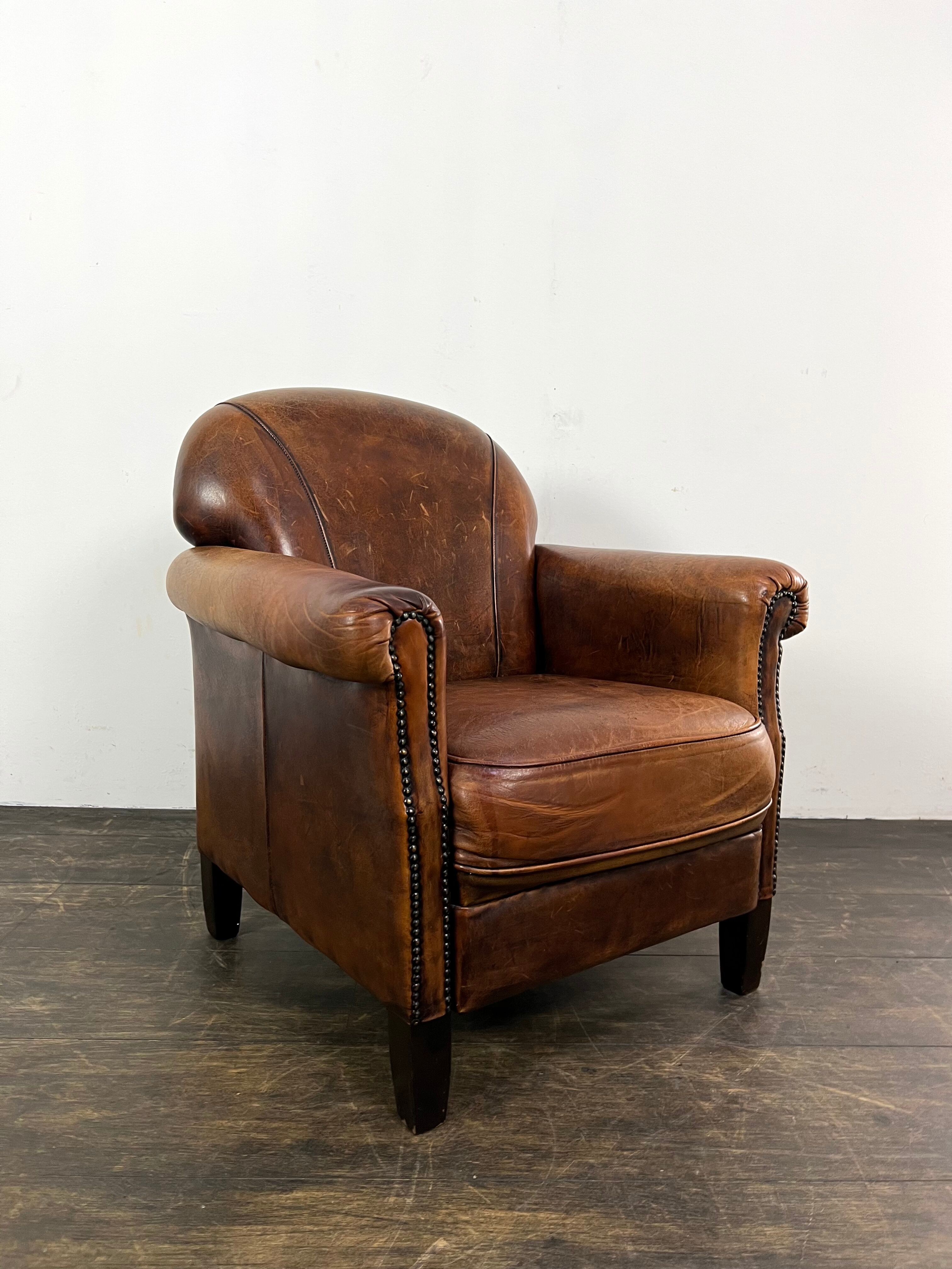 Club chair sheep leather