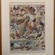 Planche illustrée sur les oiseaux (de basse-cour et volière) - 1930