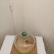 Plateau a fromage carre avec cloche bombee