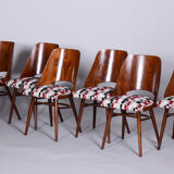 Ensemble de six chaises en hêtre du milieu du siècle, Oswald Heardtl, restauré, Tchéquie, années 1950