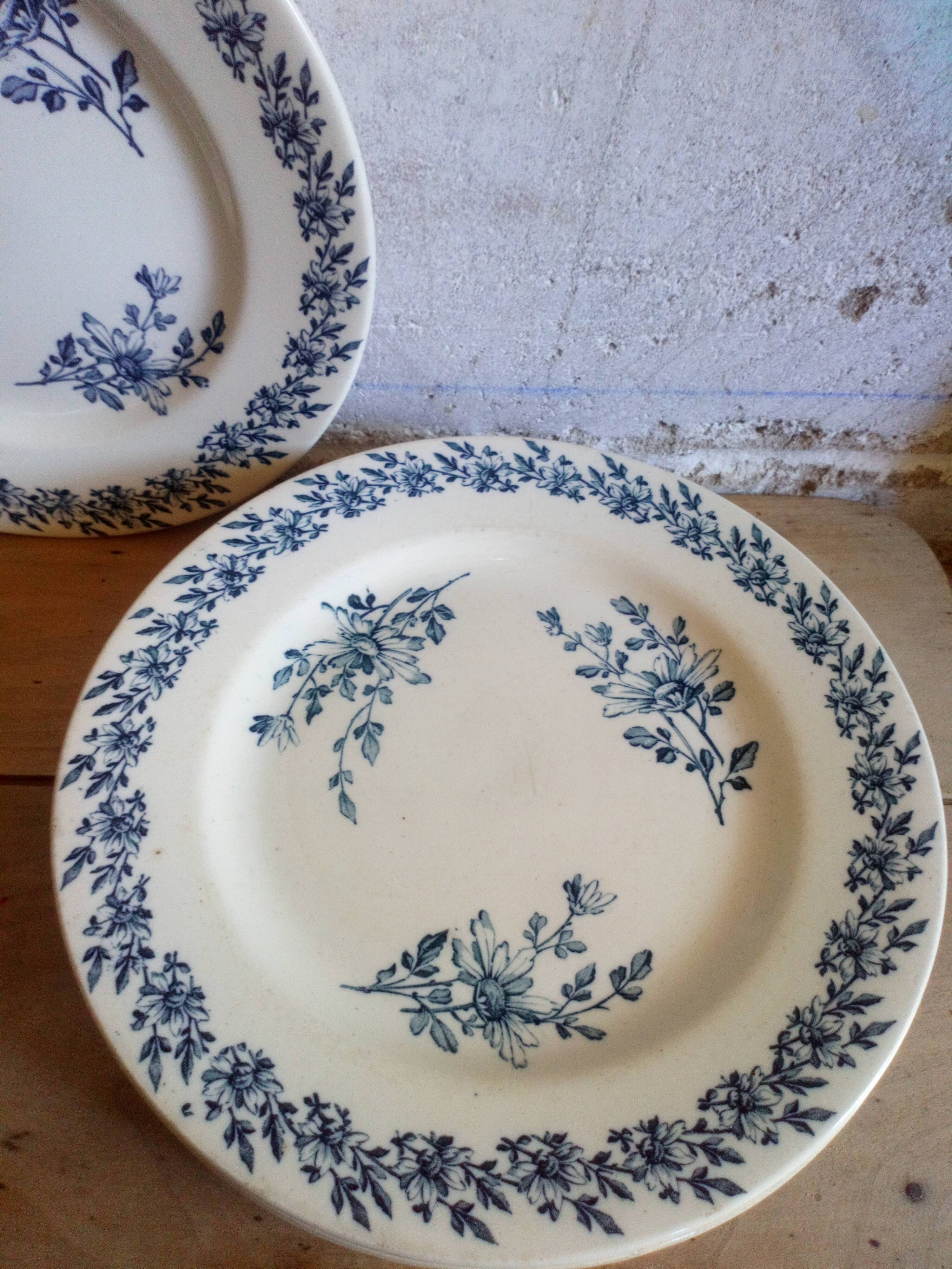 Six old plates made of lednéville iron soil from the "paquerette" sevice